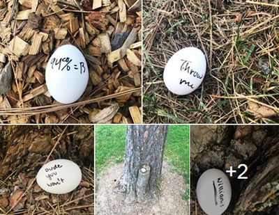 While walking past Ramsey Park in Coeur d’Alene recently, state Rep. Paul Amador, R-Coeur d’Alene, and his wife, Julie, spotted raw eggs with messages written on them. (See second Huckleberries item today) (Paul Amador/Facebook page)