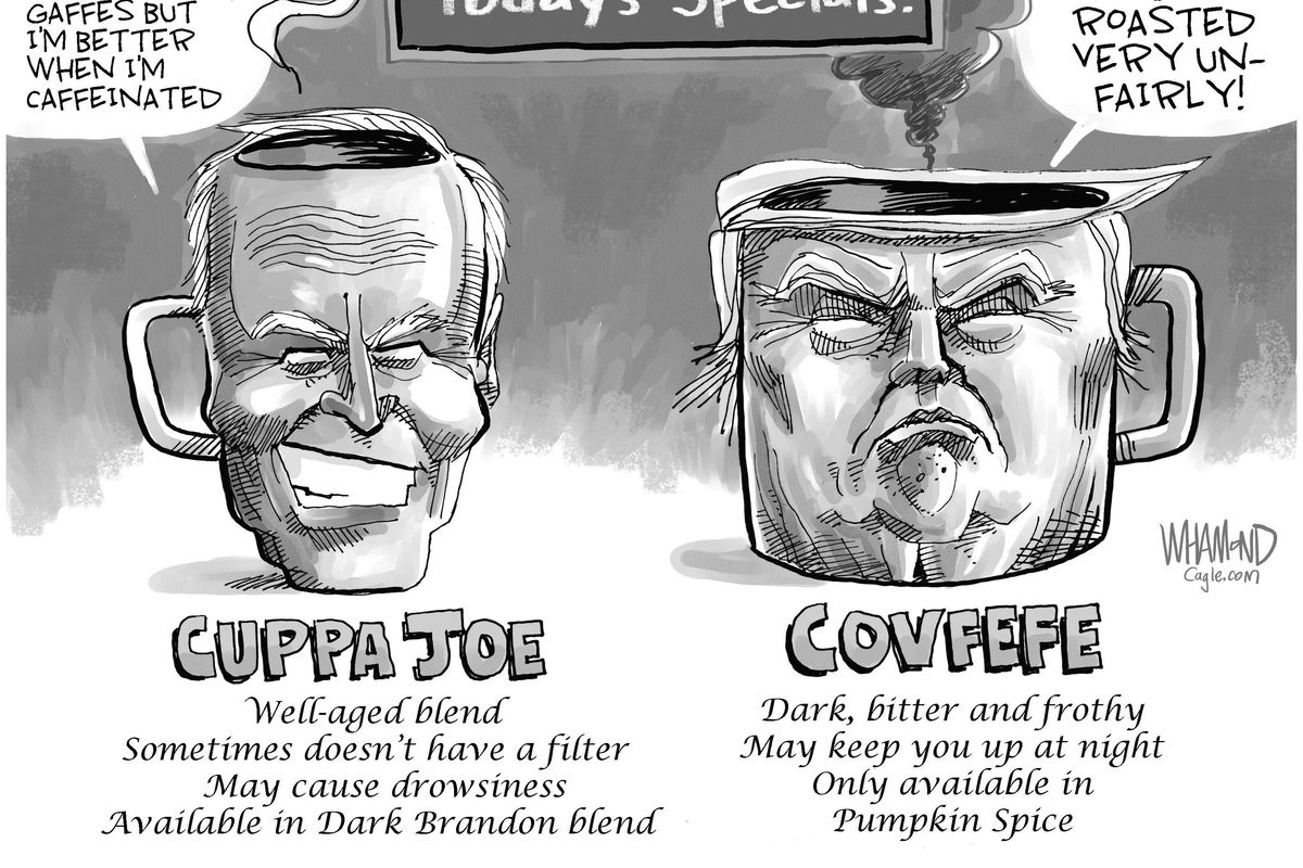 Dave Whamond cartoon