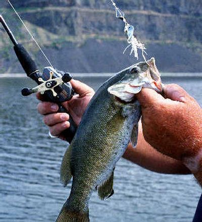 
Banks Lake is one of the region's favorite bass-fishing waters. 
 (Rich Landers / The Spokesman-Review)