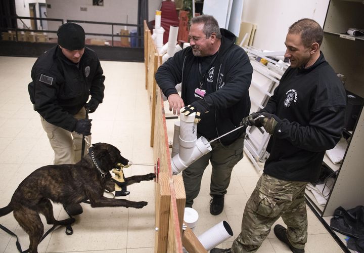 K9s training in fiveweek class in Newman Lake The SpokesmanReview