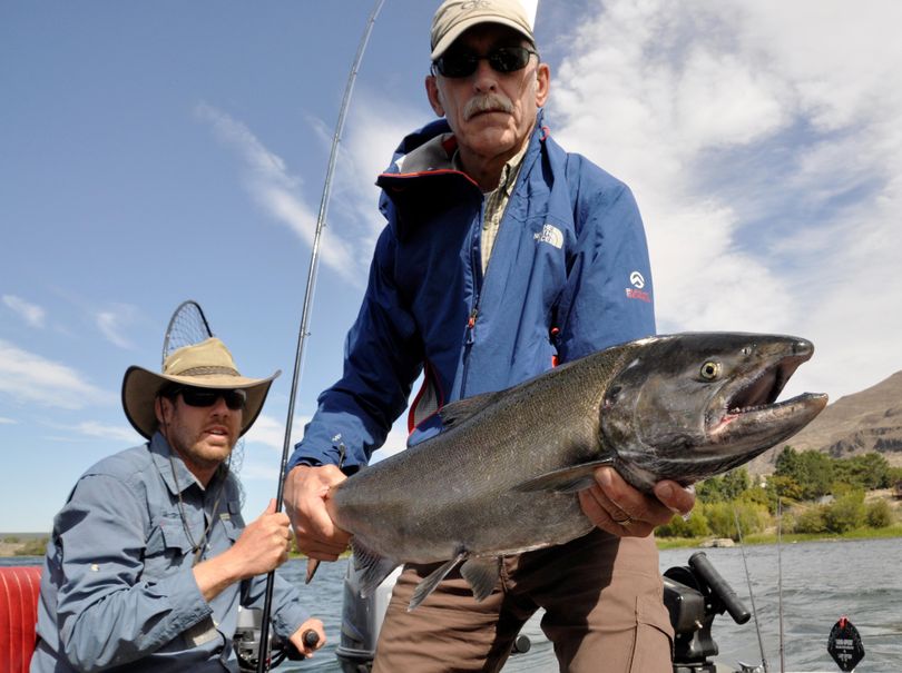 David Moershel of Spokane holds a fall chinook he caught while angling with salmon fishing guide Dave Grove on the Columbia River on Sept. 8, 2014. (Rich Landers / The Spokesman-Review)