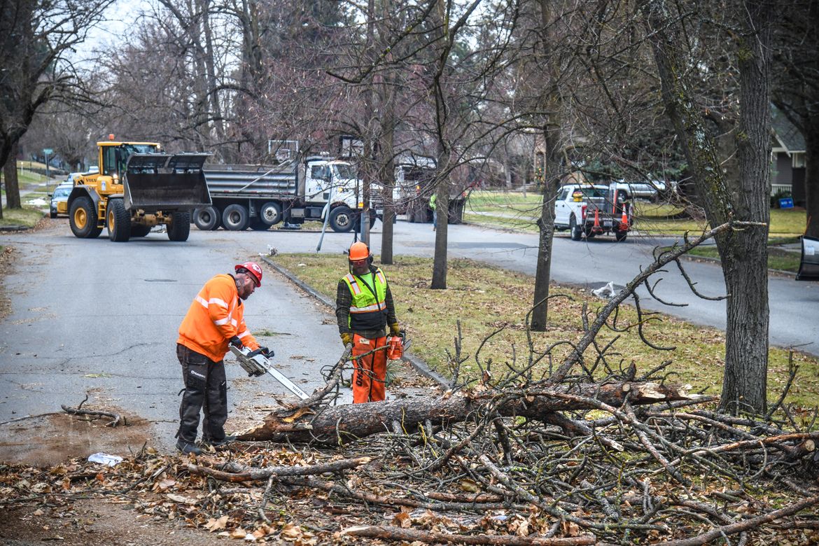 City crews clean up downed trees all over Spokane Jan. 15, 2021 The