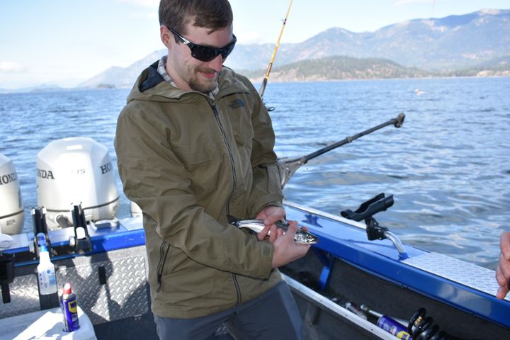 Lake Pend Oreille sees highest kokanee density in two decades | The Spokesman-Review