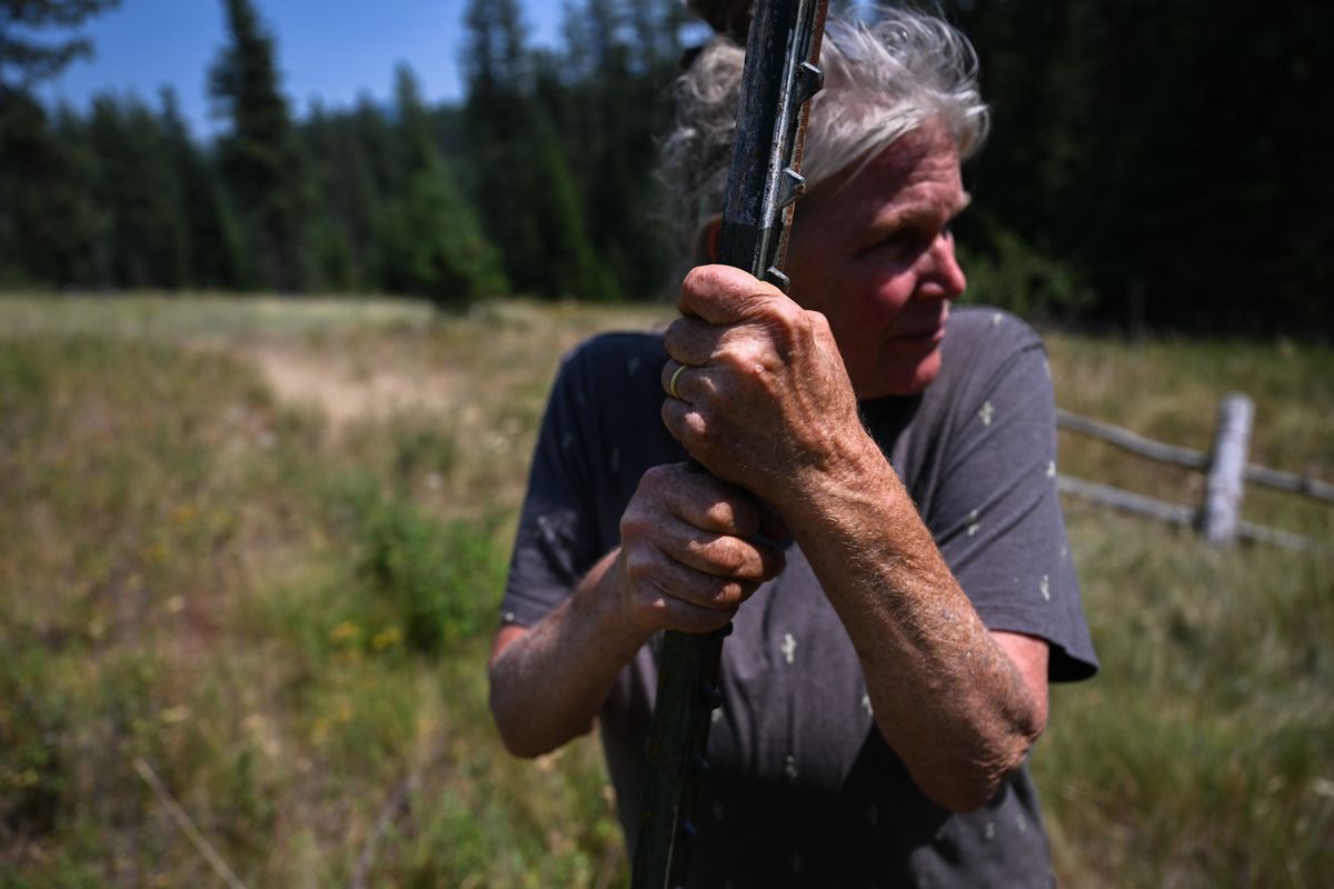 Leah Sempel, who co-owns Pokey Creek Farm with her husband Greg Sempel, grips a fence post on July 23 along the property line they thought marked their property border. The state of Idaho has accused the couple of trespassing on state endowment land.   (Tyler Tjomsland/The Spokesman-Review)