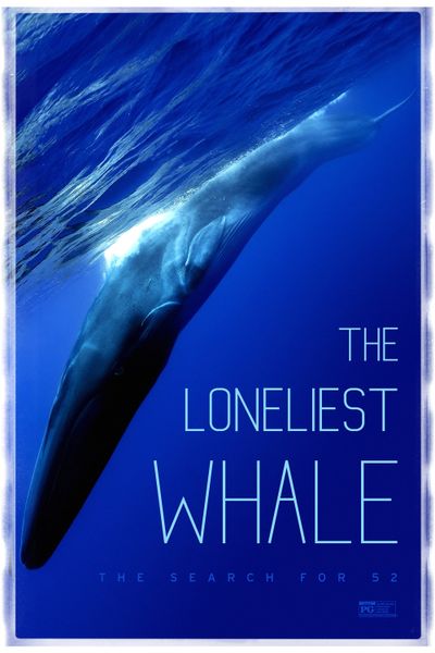 The Loneliest Whale The Search For 52 The Loneliest Whale: The Search for 52 Showtimes | The Spokesman-Review