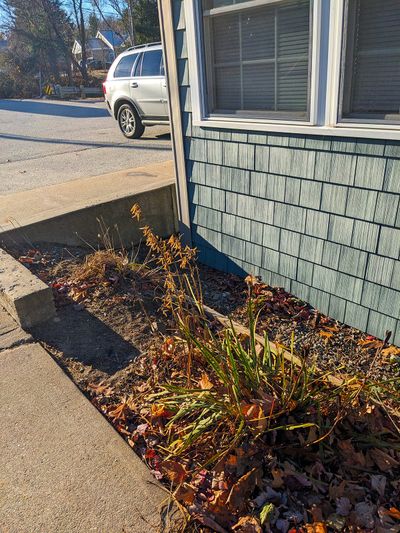This veterinarian office foundation was built so low into the ground that a retaining wall had to be built to keep the fill dirt off the siding. The building should never have passed inspection.  (Tribune Content Agency)