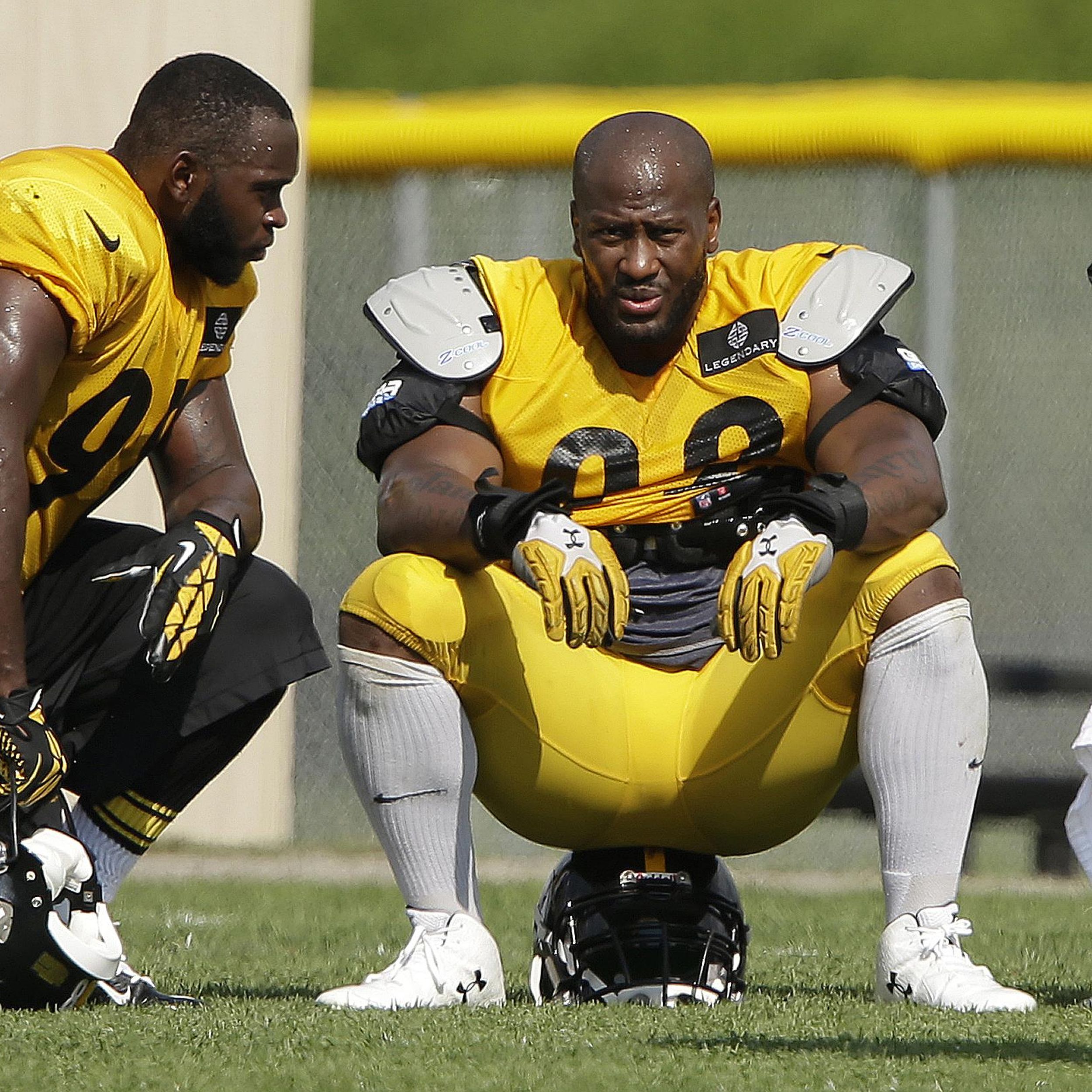 Pittsburgh Steelers' James Harrison Gives Back Sons' Participation