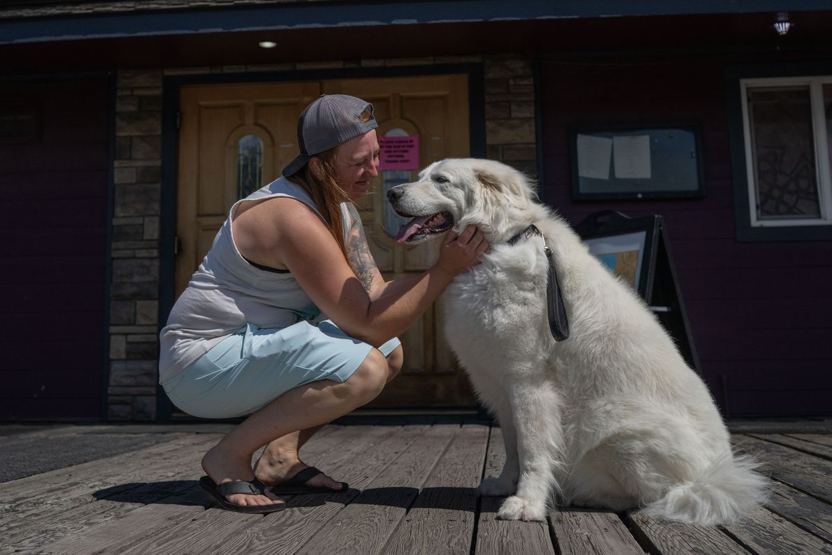 Danielle Shanley, of Paragon Brewing, gives Bella Schneider some loves in between guests.  (ANGELA MACISAAC SCHNEIDER/Special to The Spokesman-Review)