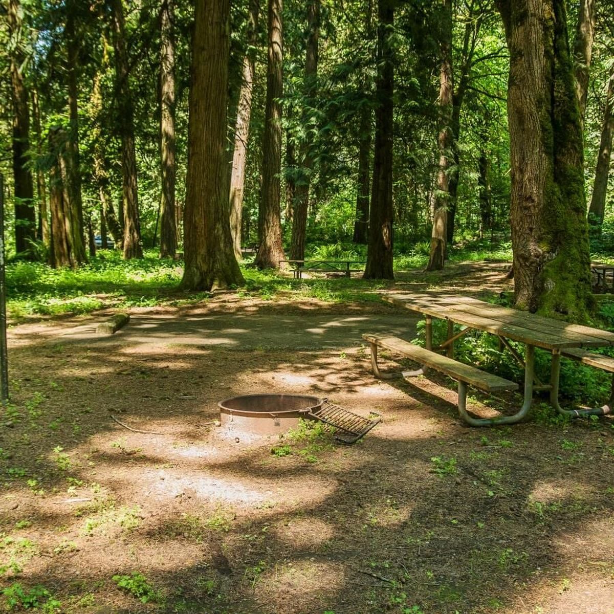 A campground at Paradise Point State Park.  (Courtesy of Washington State Parks)