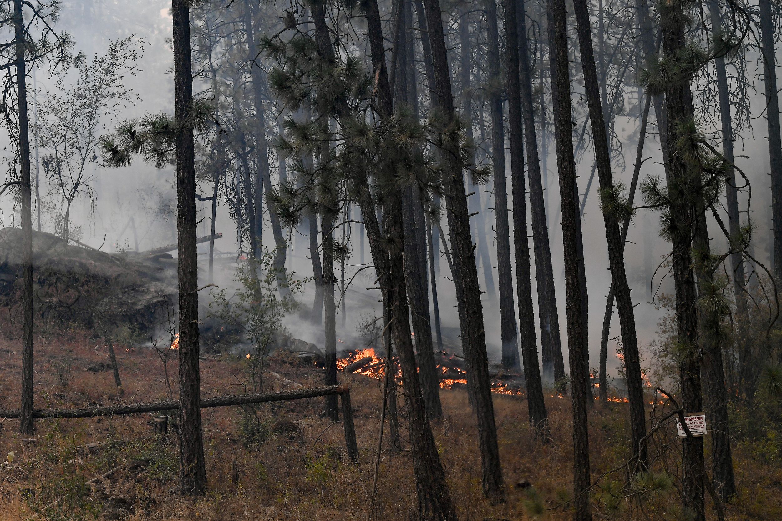 Ford-Corkscrew Fire Grows Dramatically - Aug. 17, 2021 | The Spokesman ...