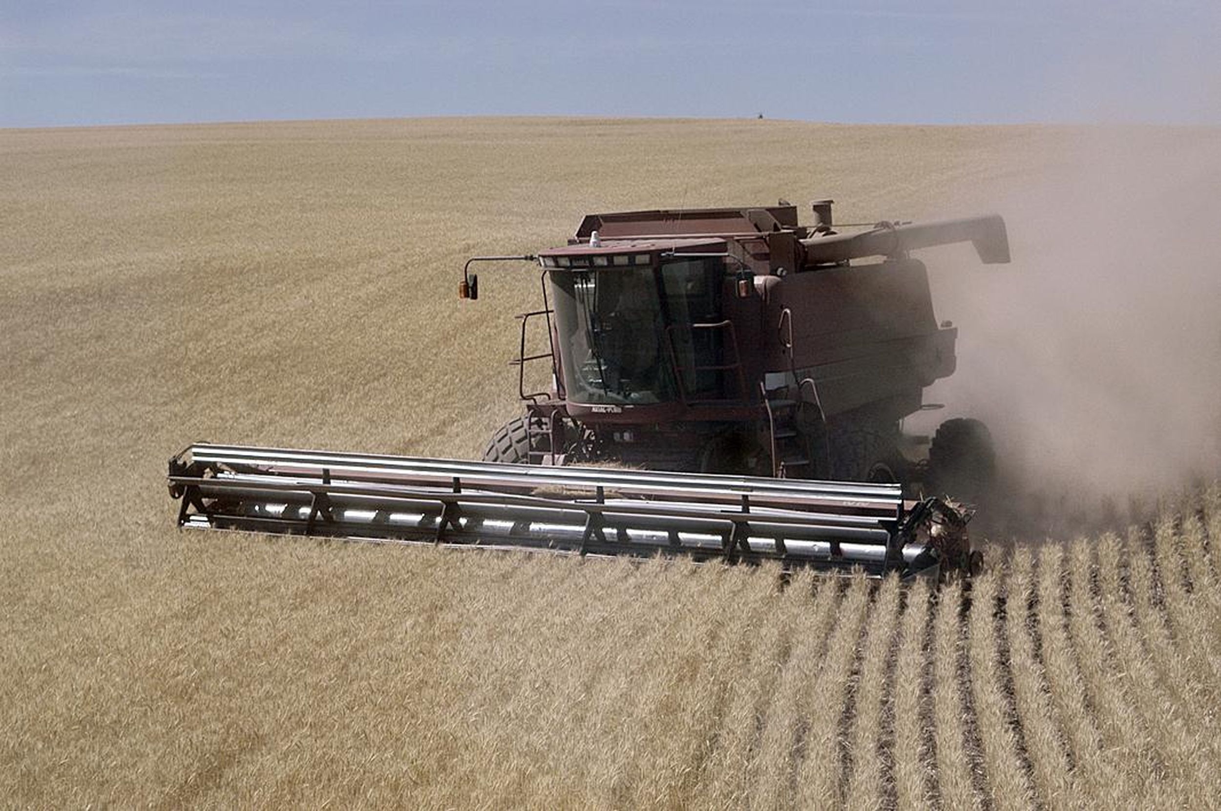 Eastern Oregon wheat farmers seeing improved yields | The Spokesman-Review