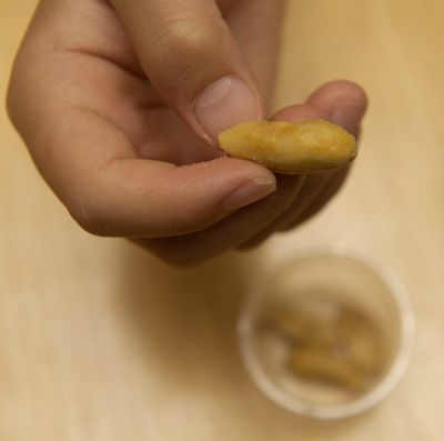 The desensitization regimen is intended to keep the patient’s immune system from overreacting in the event of an accidental exposure to peanuts. (Jose Luis Villegas/Sacramento Bee/MCT) (File Tribune News Service)