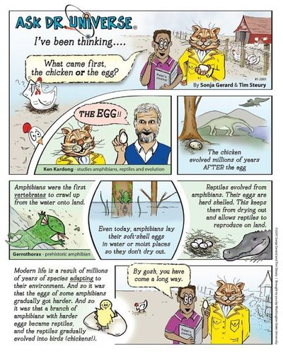  (Washington State University)