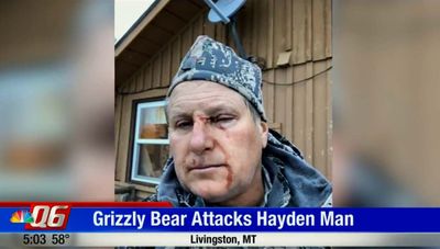 Man survives grizzly bear attack in Montana wilderness - Oct. 15, 2018