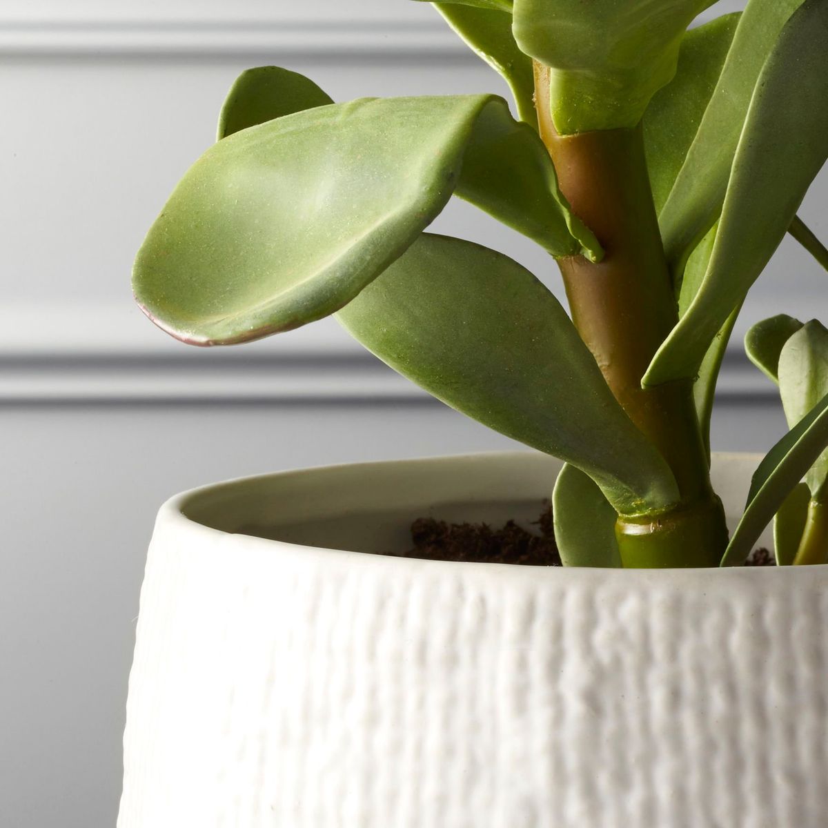 How to Decorate With Fake Plants (And Where to Find the Best Faux