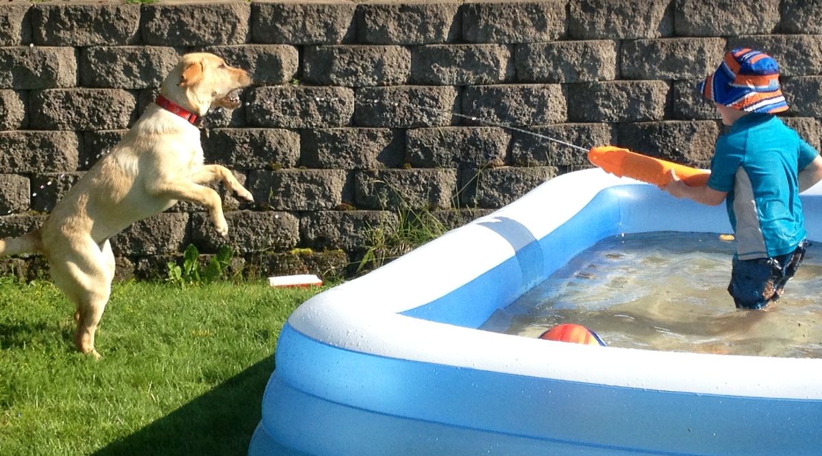 Patty Frederking took this photo in her Spokane Valley backyard. She said her 4-year-old grandson Reece Myers and 8-month-old granddog Maggie May are, “Like brother and sister – what one does the other wants to do.” (Patty Frederking)