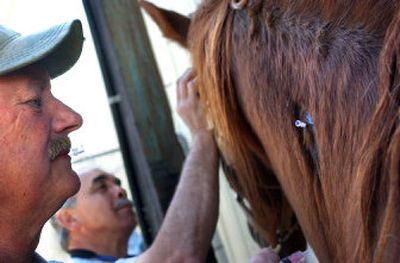 
Ponti, left, inoculates a horse against the virus Thursday on Harry Hanson's farm.
 (The Spokesman-Review)