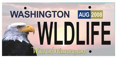 Go for the wild look on your vehicle license plate.  Courtesy of Washington Dept. of Licensing (Courtesy of Washington Dept. of Licensing / The Spokesman-Review)