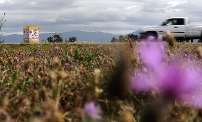 This land at the corner of Highway 41 and Prairie Avenue in Post Falls could be added to the city’s future land-use map.  (Kathy Plonka / The Spokesman-Review)