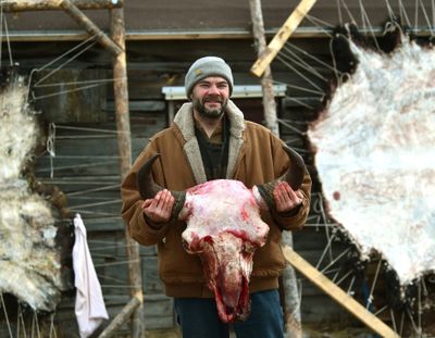 Jerry Moisin holds up a bison skull he skinned while taking part in the Buffalo Bridge Project near Gardiner, Mont., on Feb. 4, 2016. Since 2013, Buffalo Bridge has provided a unique service in the Gardiner Basin by scavenging bison hides, hooves, heads, rib cages, fat and internal organs from bison that hunters kill. From the scraps, the members make bison jerky and bone broth. (Larry Mayer)