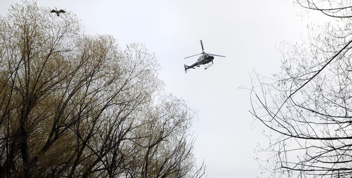 A helicopter joins in the search on the Spokane River near Upriver Drive after witness reported a person in the water, Tuesday morning, April 10, 2012. (Dan Pelle / The Spokesman-Review)
