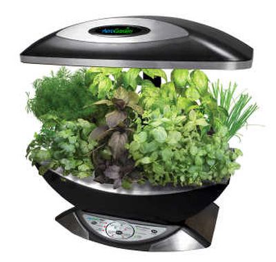 
The Aero-Garden kit allows cooks to grow their favorite herbs and greens roght on the kitchen counter,
 (Photo courtesy of Aero-Garden / The Spokesman-Review)