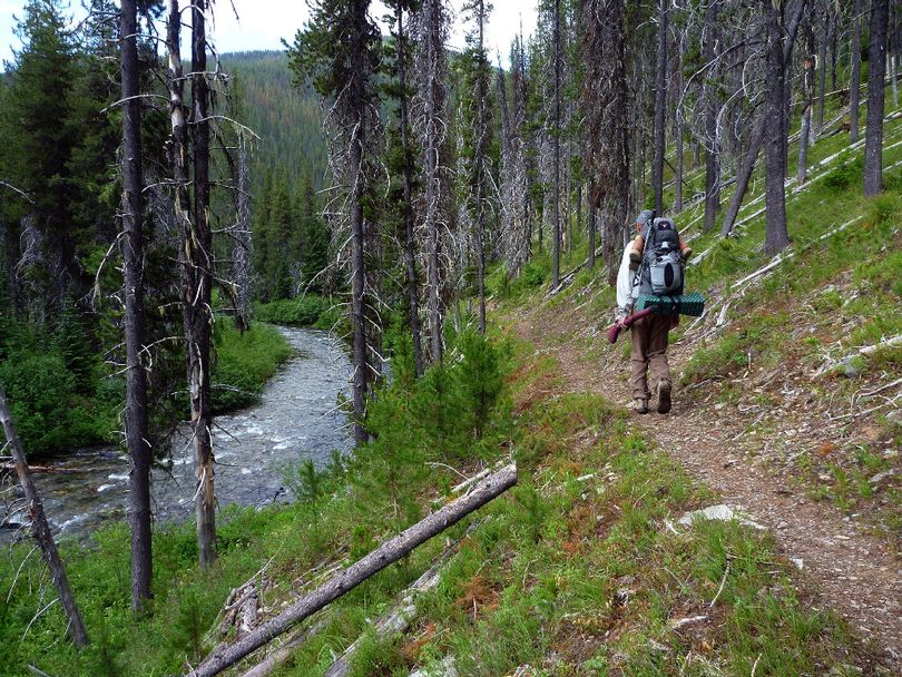 From St. Joe Lake, Trail 49 leads down 5.5 miles along the St. Joe River to Medicine Creek, where Road 320 follows another 5 miles of river to Heller Creek Campground.  From here, as pictured above, the river starts gathering a decent flow. This is the trailhead where backpackers begin a 17-mile trek downstream on Trail 48 through a roadless stretch of the river to Spruce Tree Campground. (Rich Landers)