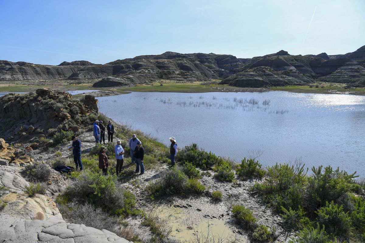 The Wankel family and the paleontology team recently revisited the discovery site as they prepare for the T. rex