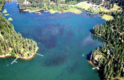
This aerial view of Hayden Lake photographed in late June shows milfoil as dark areas of water.
 (Photo courtesy of Nina Eckberg / The Spokesman-Review)