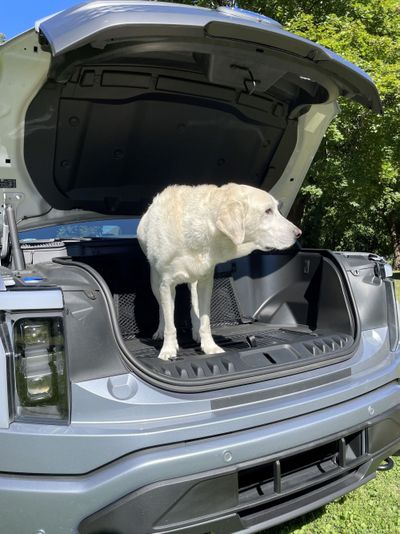 Owners of EVS with front trunks seem compelled to close themselves in the compartment at least once, as giddy as toddlers in a sandbox. There's even a #frunkpuppy Instagram trend, which is exactly what you might expect.  (Kyle Stock/Bloomberg)