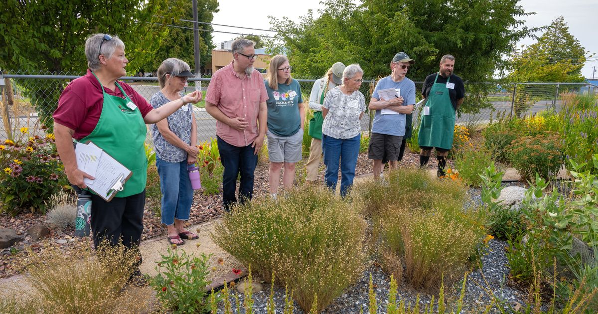 As Spokane’s summer watering restrictions kick in, adapt or kill your lawn