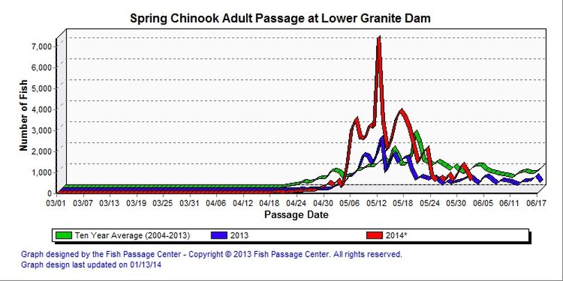 Lower Granite Dam spring chinook counts posted June 3, 2013. (Fish Passage Center)