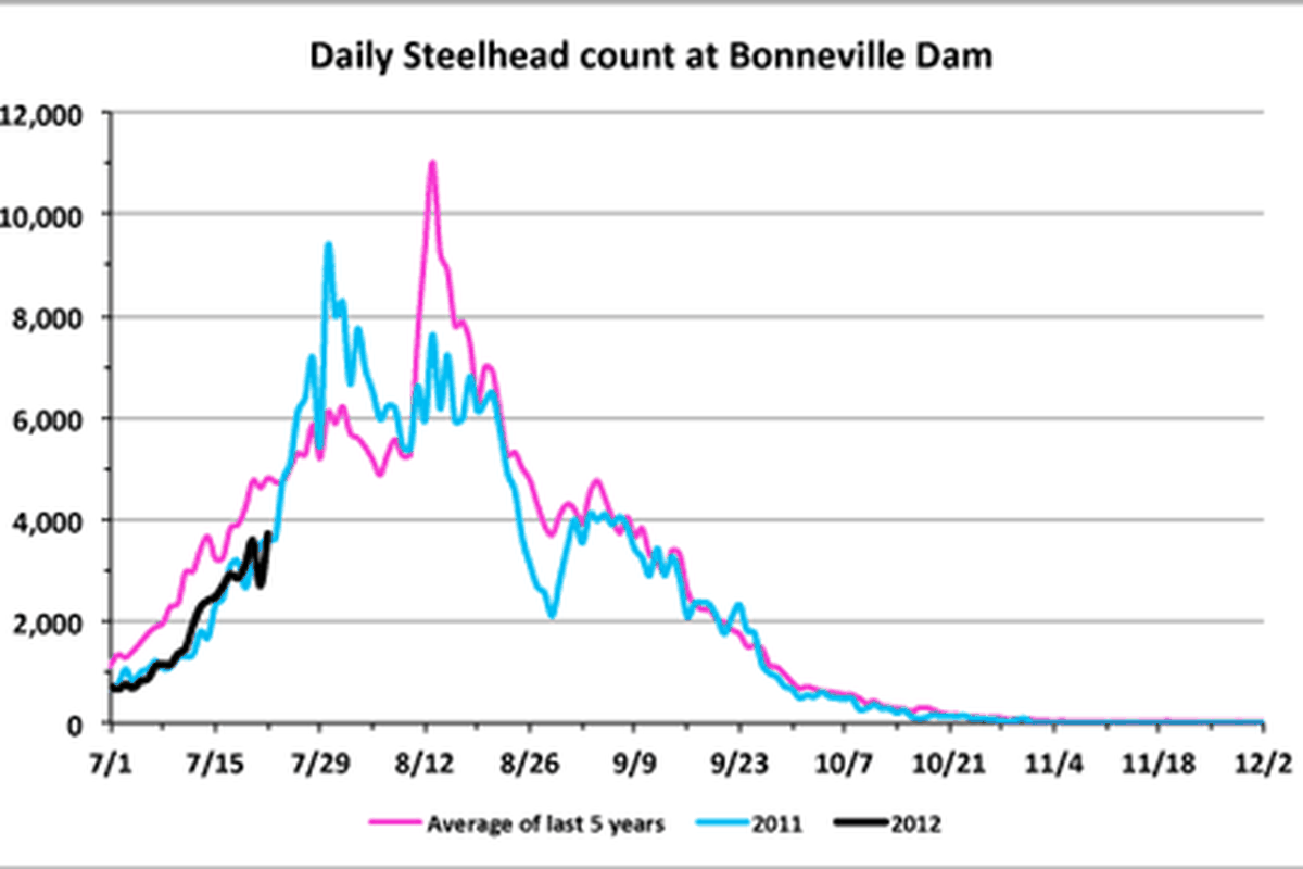 Steelhead counts at Bonneville Dam. (Fish Passage Center)