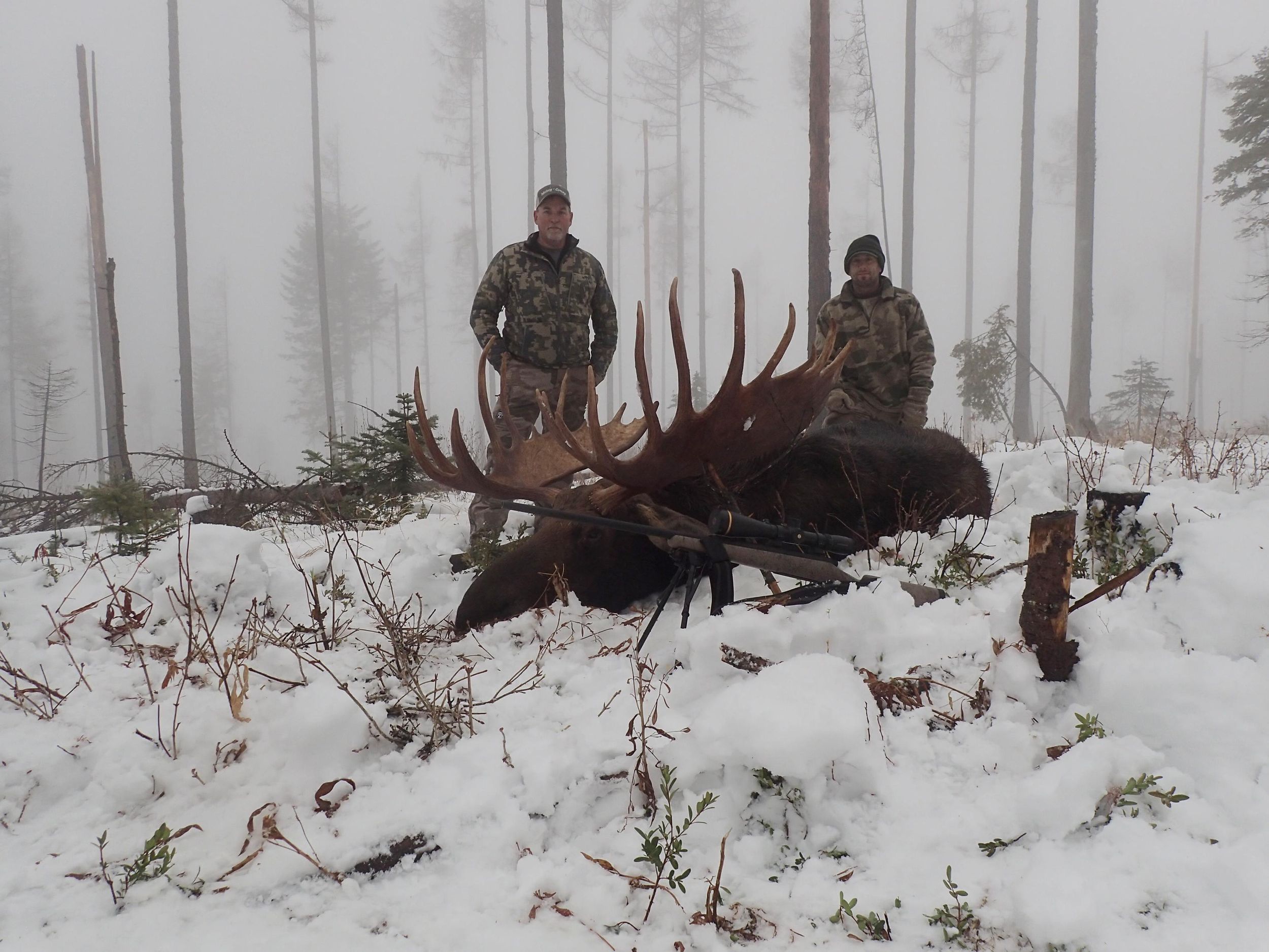 World-record moose - April 10, 2019 | The Spokesman-Review