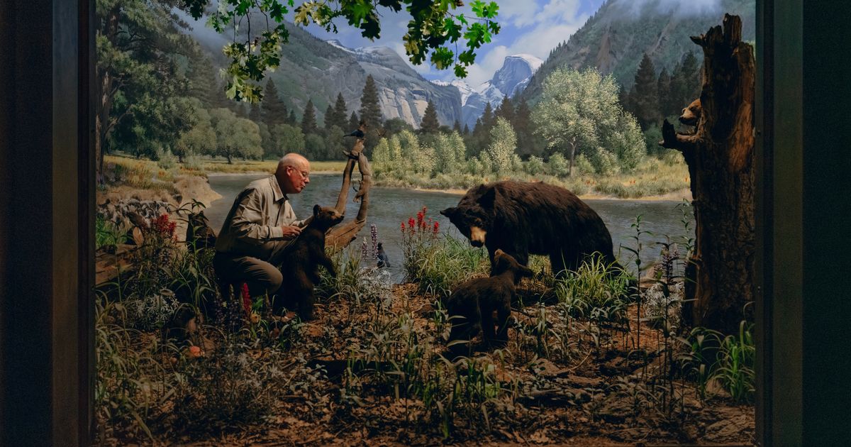 Los Angeles museum gives new life to dead animals