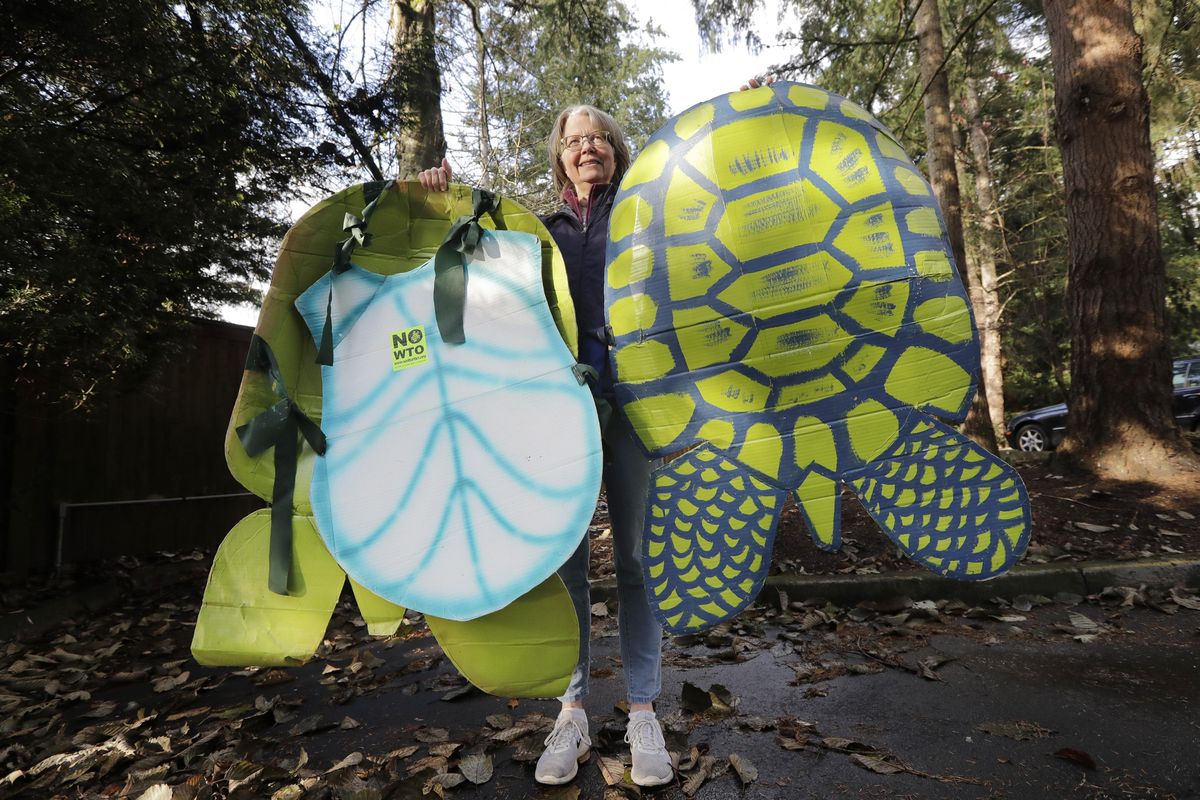 In this photo taken Monday, Nov. 25, 2019, Lisa Wathne holds original sea turtle costumes, like the one she wore 20 years earlier that were made for protesters at the World Trade Organization (WTO) demonstrations in Seattle, in Lake Forest Park, Wash. (Elaine Thompson / Associated Press)