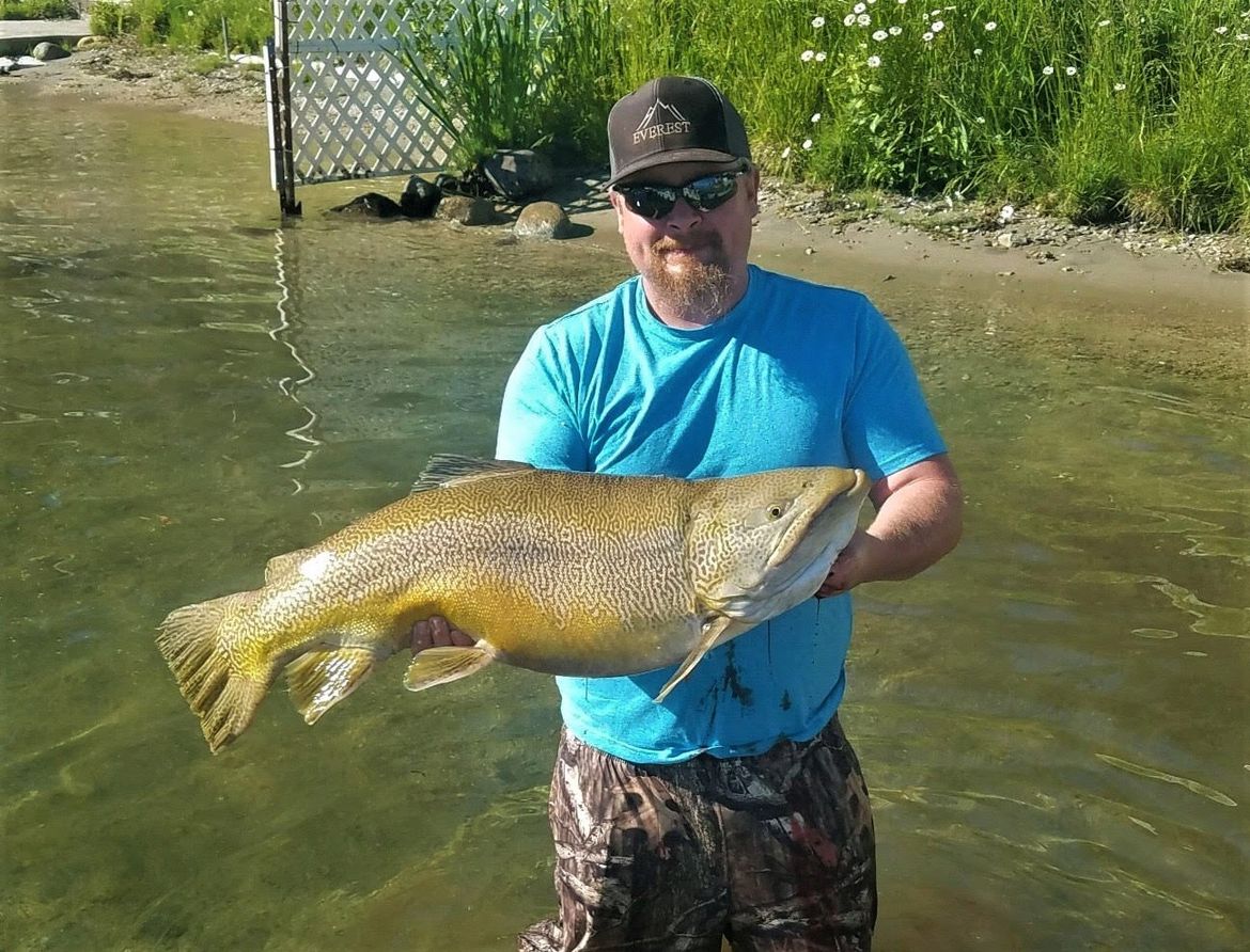 Washington Record Shattered With 24 Pound Tiger Trout Caught In Loon Lake The Spokesman Review