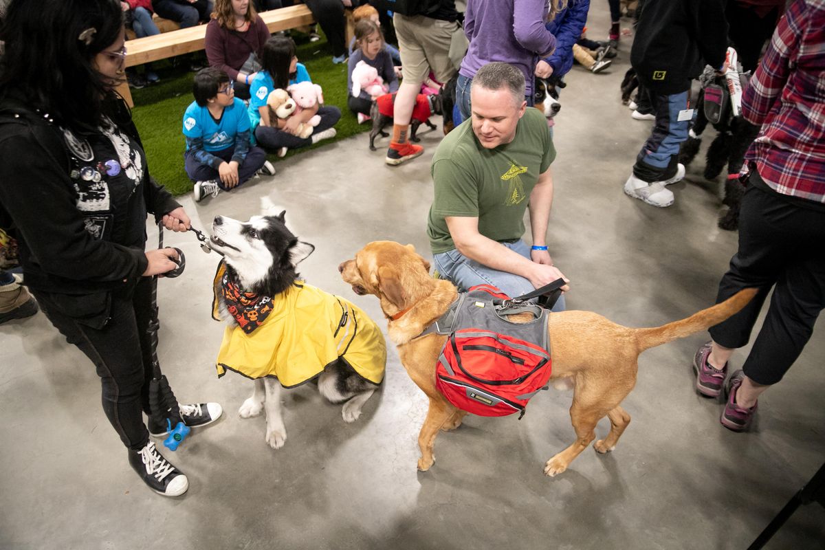 Dog outdoor fashion show (Feb. 23) Feb. 23, 2020 The SpokesmanReview