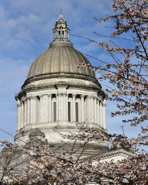Cherry blossoms starting to bloom at the Washington state Capitol campus, March 25, 2011. (Jim Camden/The Spokesman-Review)