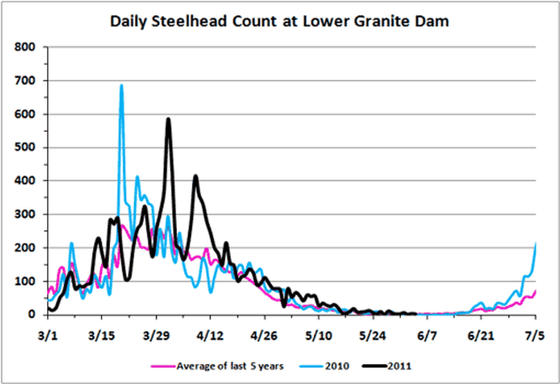 Steelhead counts, current and historic, over Lower Granite Dam on the Snake River as of June 5, 2011.