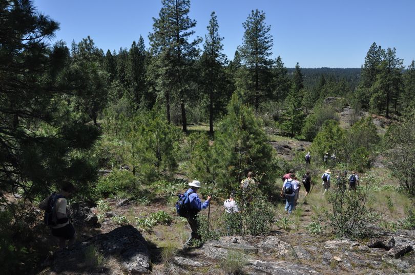 Hikers explore the Dishman Hills Natural Area in Spokane Valley. (Rich Landers)
