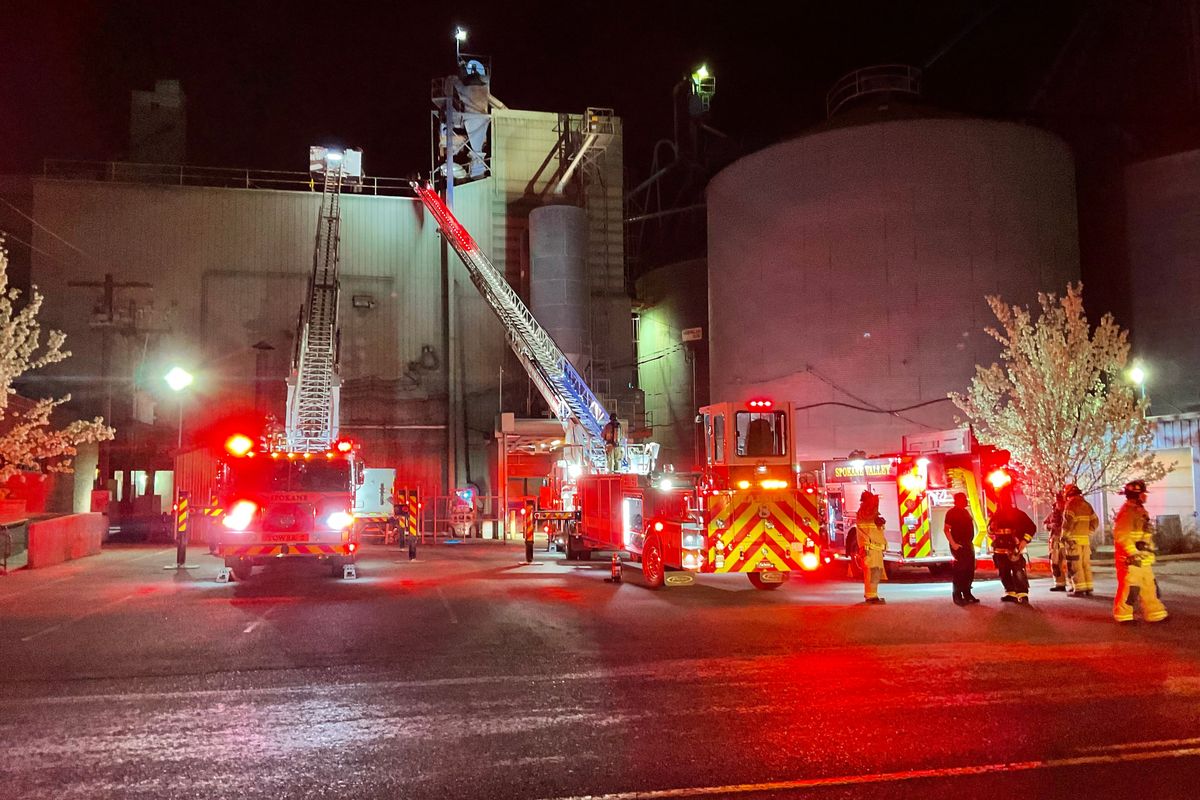 Spokane Valley firefighters responded to a fire at Spokane Seed, 6015 E. Alki Ave., just after midnight on Friday.  (Courtesy of the Spokane Valley Fire Department)