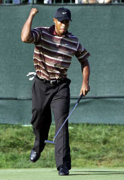 
Tiger Woods is pumped after sinking a birdie putt on the 16th hole on Sunday.
 (Associated Press / The Spokesman-Review)