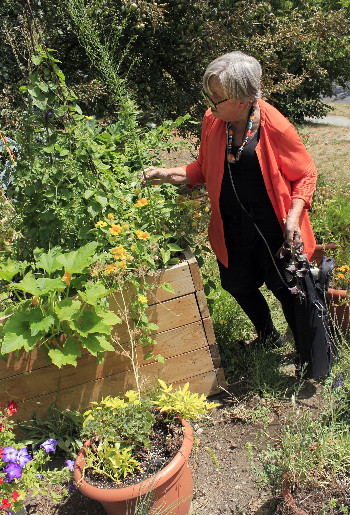 A bevy of health problems kept Linda Pall in and out of hospitals and care facilities for nearly a year. This spring, she felt well enough to undertake a new project: transforming her front yard into a life-affirming herb and vegetable garden. (Adriana Janovich)