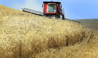 A farmer  cuts soft white winter wheat during harvest in the Spring Valley area, northeast of Walla Walla, in July. Farmers have been exempted from Washington’s  business and occupation tax since its inception in 1933.  (File / The Spokesman-Review)