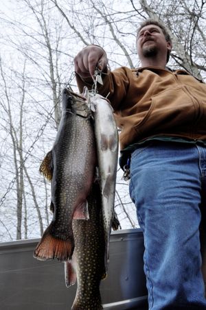 At the boat launch for Spokane County’s Fish Lake, John Leach of Spokane holds a stringer of large Eastern brook trout and a rainbow caught on April 28, 2013, the opening day of Washington’s lowland trout fishing season. (Rich Landers)