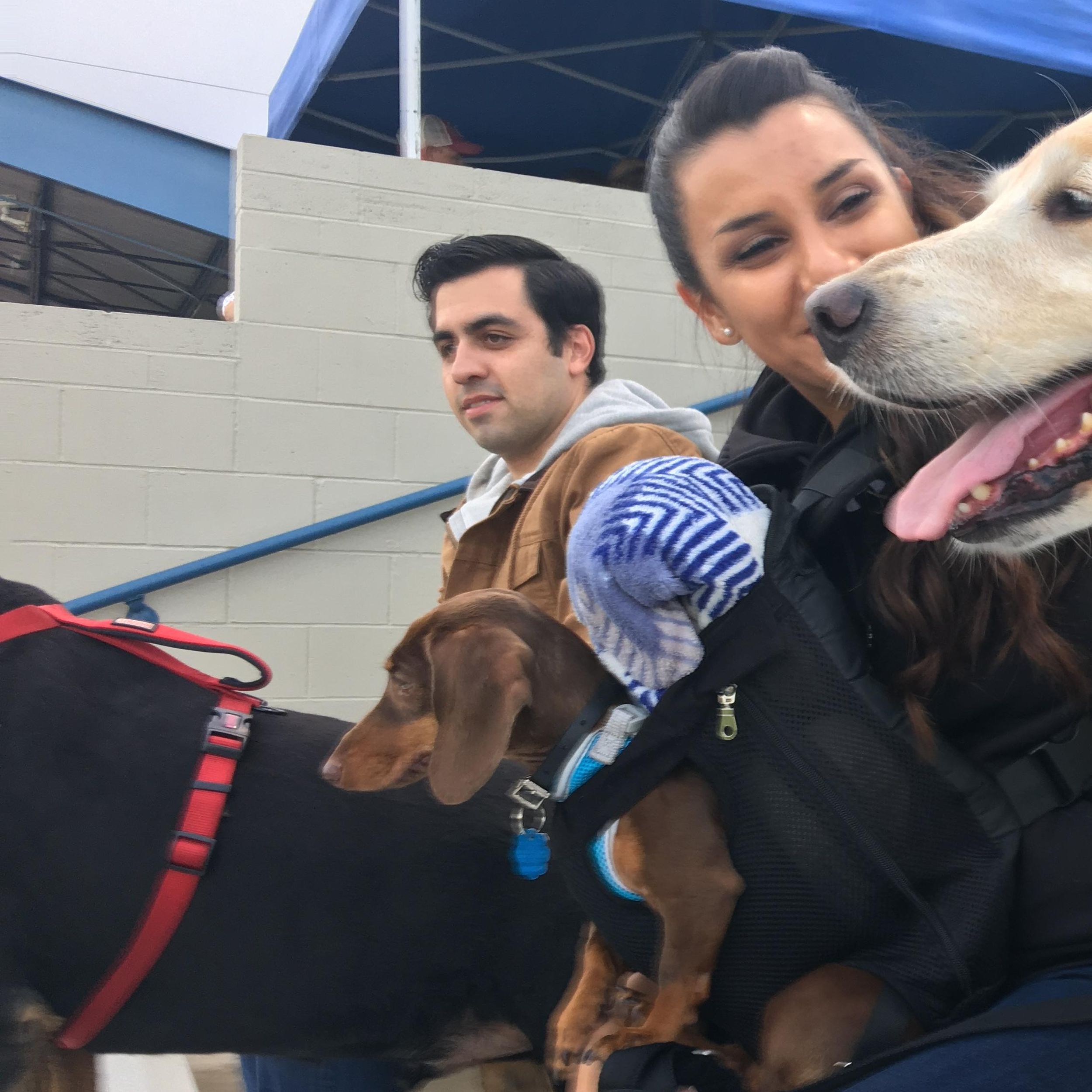 Photos: Mariners Bark at the Park 2015