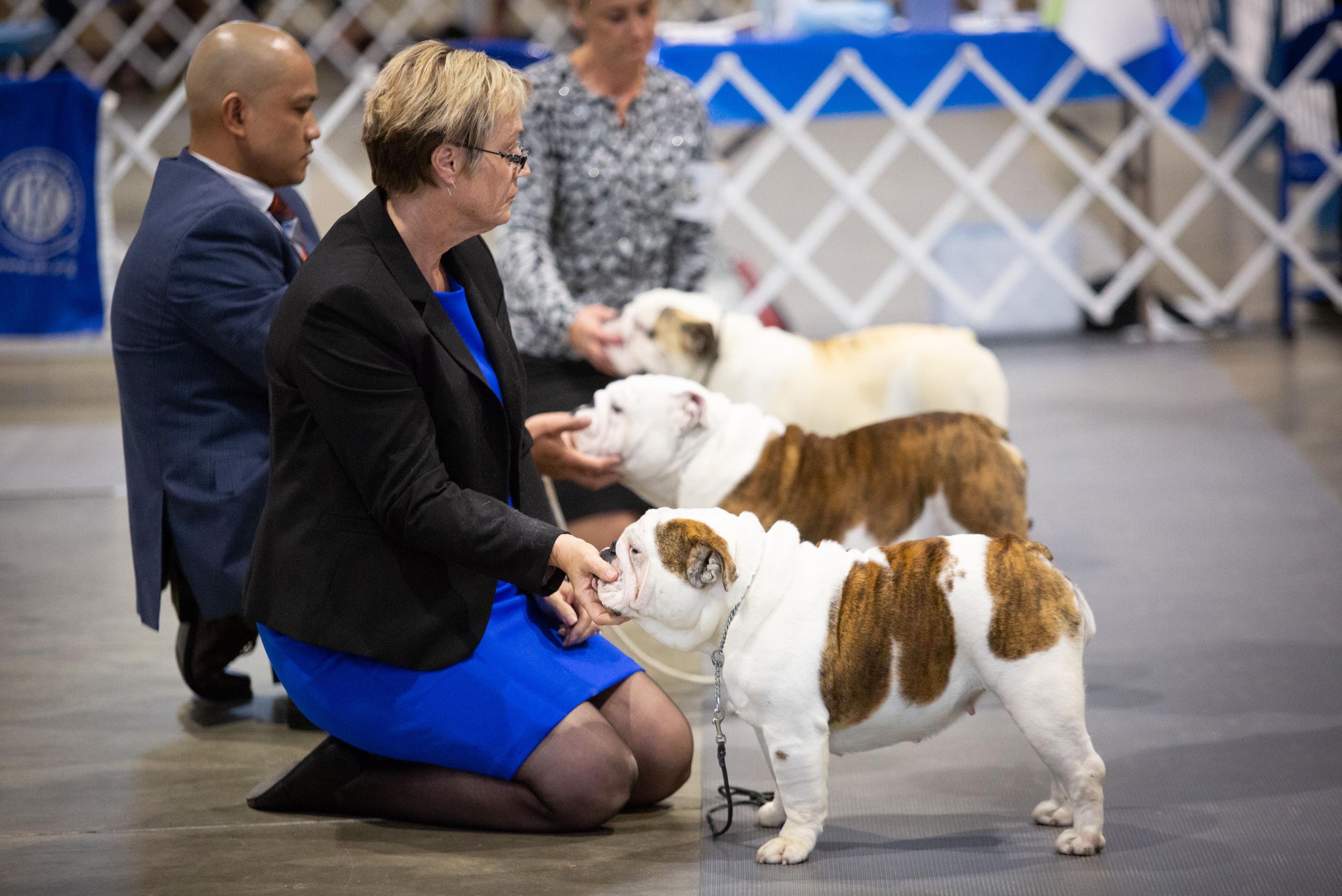 2019 Spokane Kennel Club Dog Show at the fairgrounds - May 26, 2019