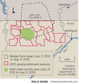 Map shows the range of the Wedge Pack in the first six weeks after the pack's alpha male was trapped, collared, released and monitored by radio telemetry. While the pack ranges well into Canada, Washington Fish and Wildlife officials have associated the wolves with attacks on cattle in grazing alotments in the "wedge" area between the Kettle and Columbia rivers.
