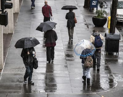 Umbrellas protect pedestrians from the rain, Oct. 13, 2016 at the corner of Main and Howard in Spokane, Wash. (Dan Pelle / The Spokesman-Review)
